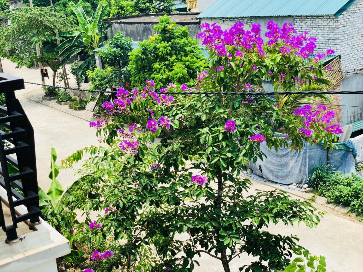 Ninh Binh Brother'S Homestay Екстер'єр фото