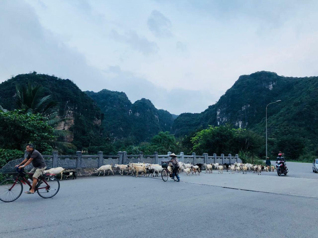 Ninh Binh Brother'S Homestay Екстер'єр фото