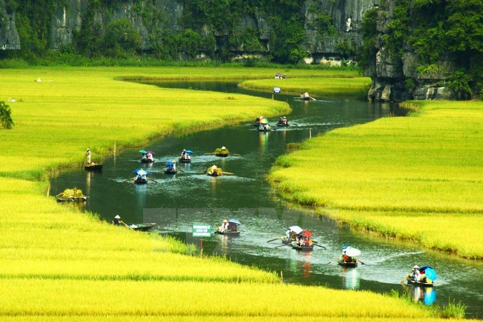 Ninh Binh Brother'S Homestay Екстер'єр фото